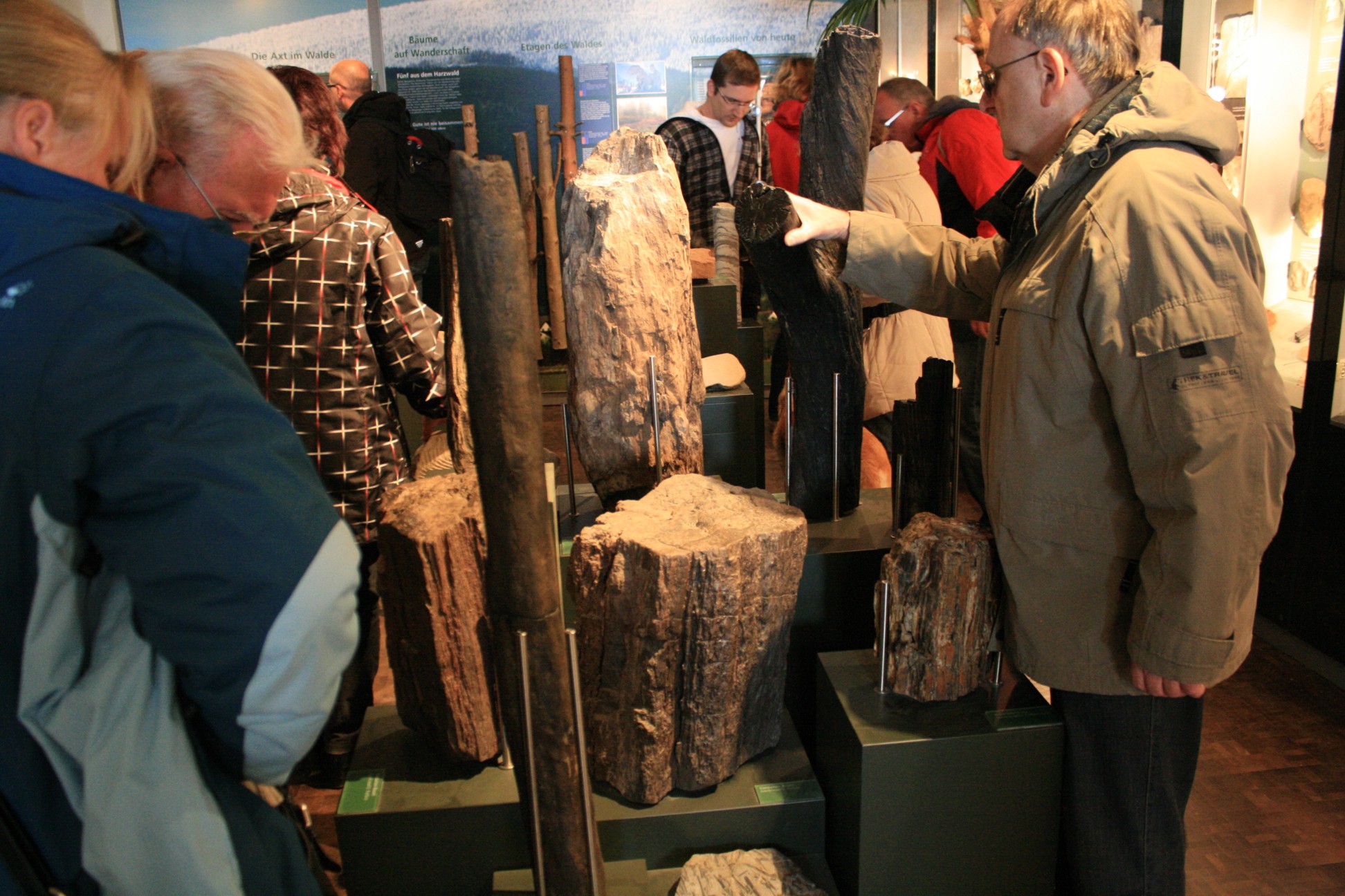 die Gruppe beim betasten von Steinen und Fossilien aus dem Harz